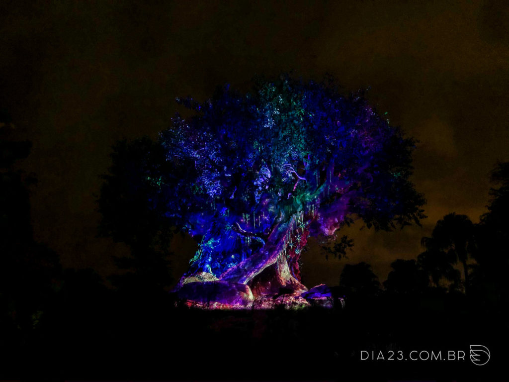 Tree of Life Awakenings
