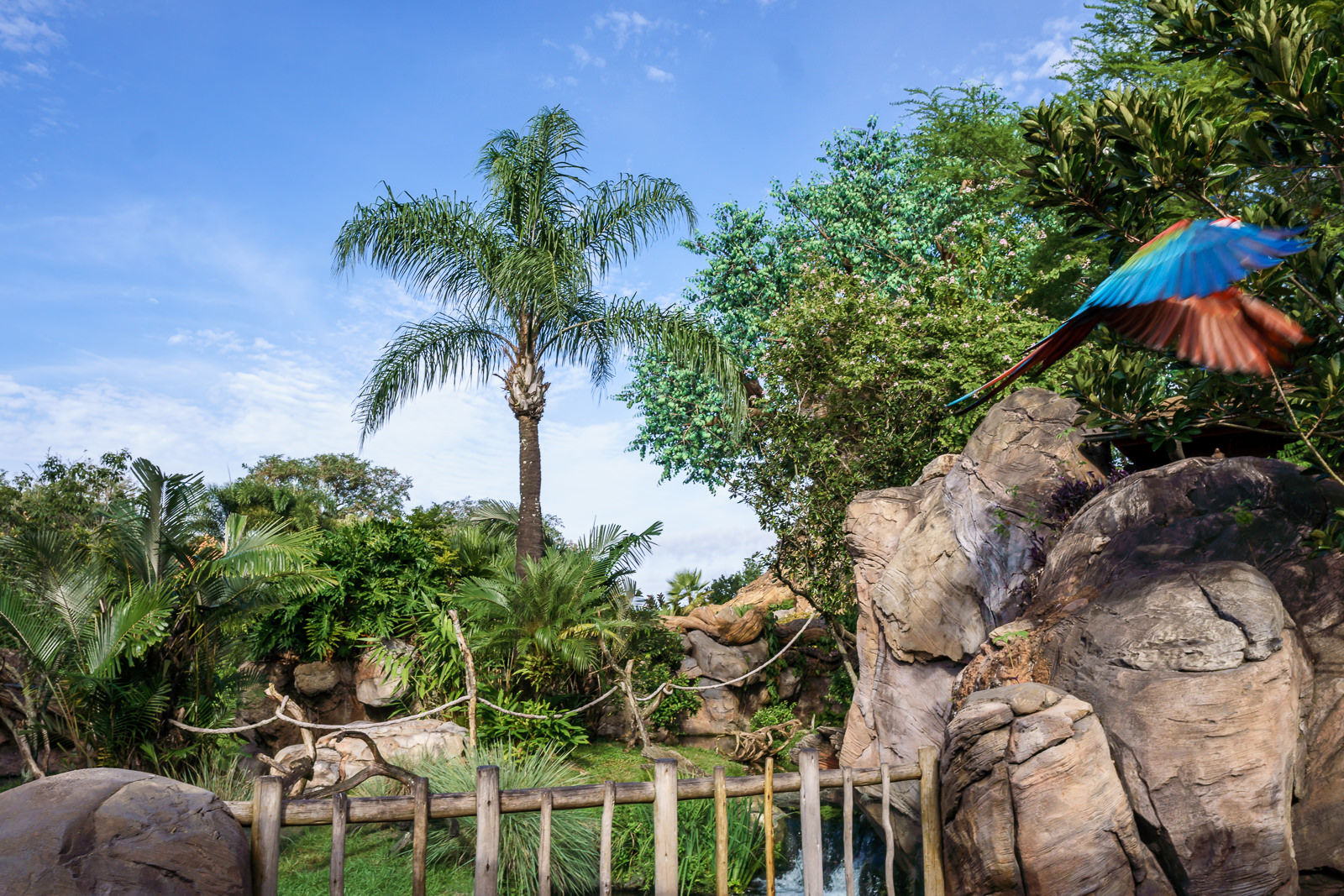 Arara colorida sobrevoando formações rochosas com palmeiras no Disney's Animal Kingdom em Orlando