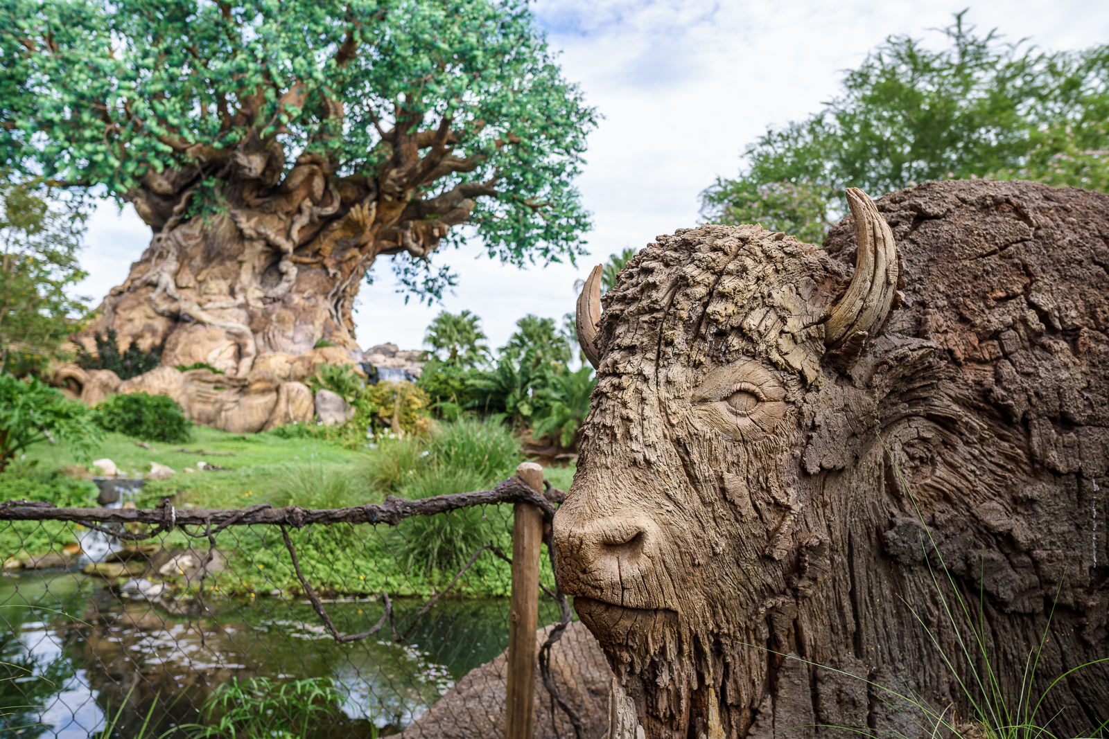 Escultura de bisão esculpida na Árvore da Vida com lagoa ao fundo no Animal Kingdom