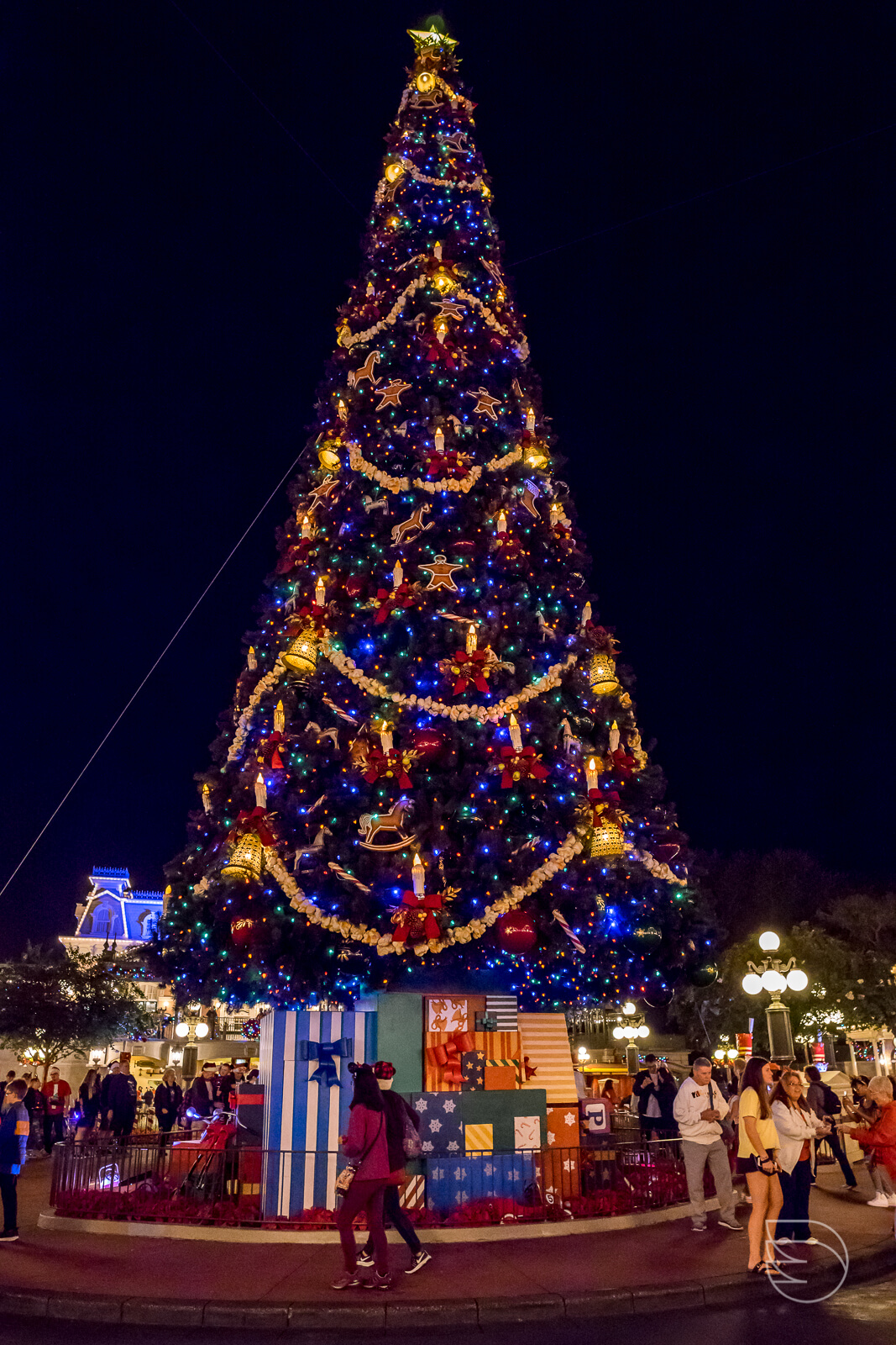 Arvore de Natal gigante decorada na Main Street do Magic Kingdom durante evento noturno