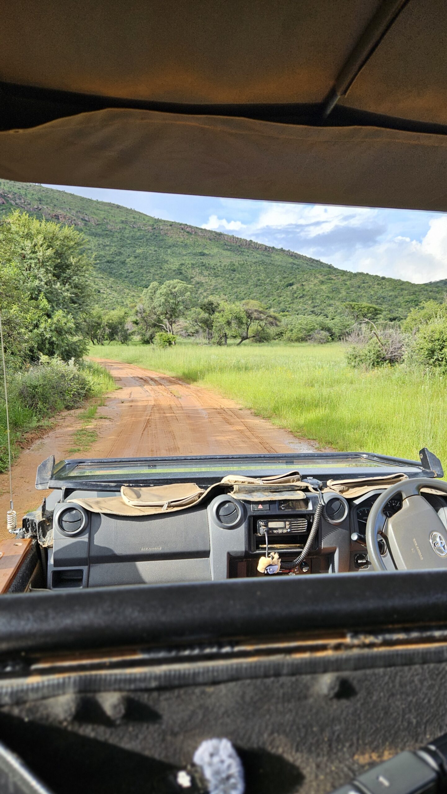 Vista da estrada de terra pela savana, do banco de trás do jipe de safári a caminho do lodge