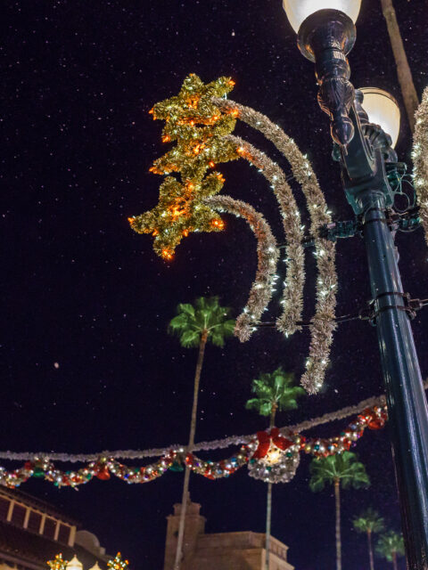 Fa ergue sabre de luz recem comprado em loja tematica de Star Wars: Galaxy's Edge no Hollywood Studios
