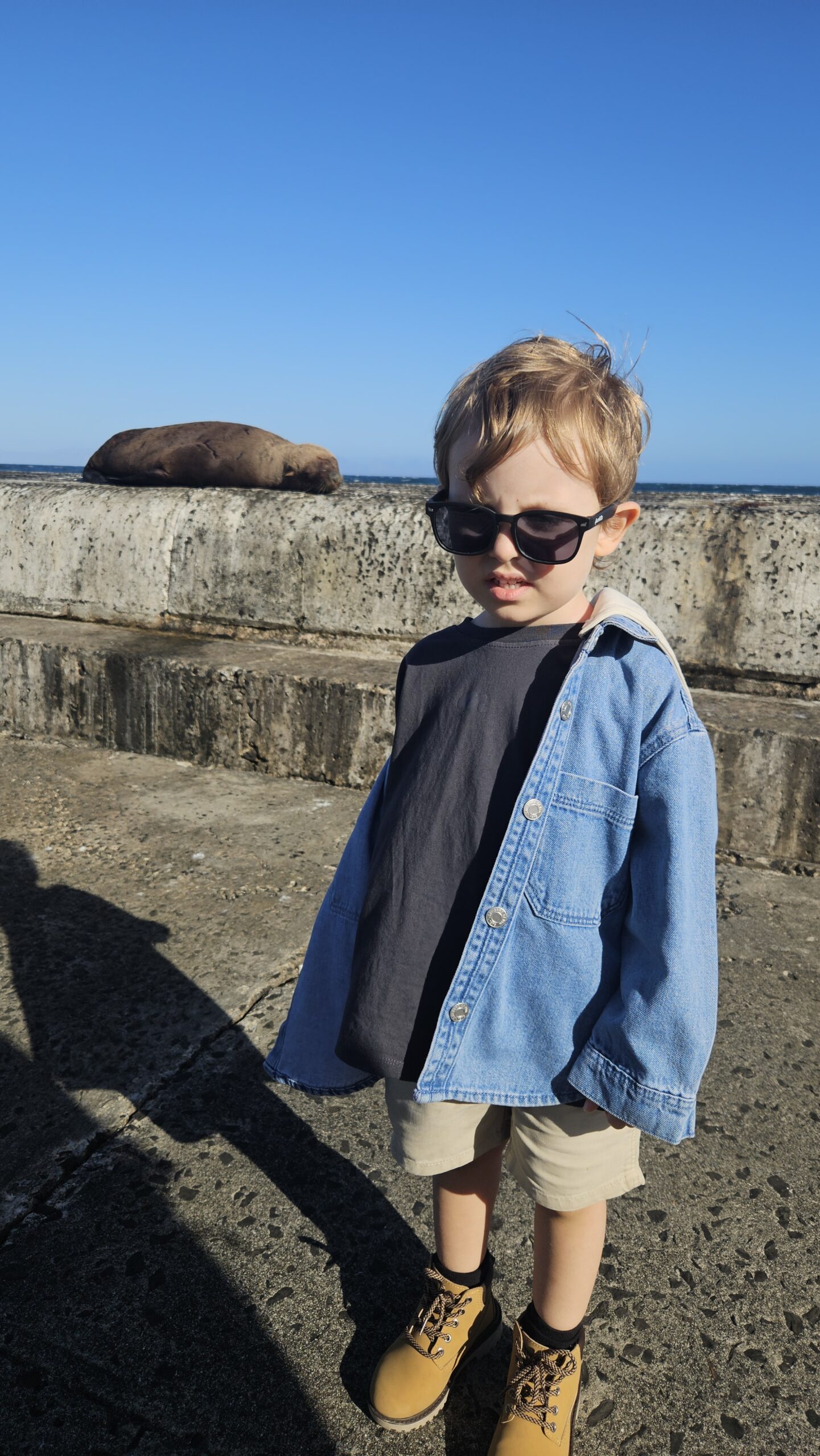 Samuel observando uma foca descansando no cais de Kalk Bay
