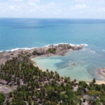 Vista aérea da Ilha de Santo Aleixo mostrando a enseada em formato de ferradura, a praia principal com coqueiros e o mar aberto ao redor.