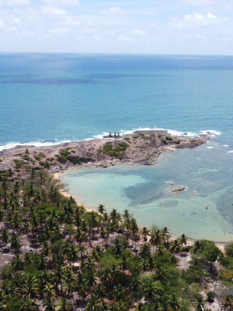 Vista aérea da Ilha de Santo Aleixo mostrando a enseada em formato de ferradura, a praia principal com coqueiros e o mar aberto ao redor.