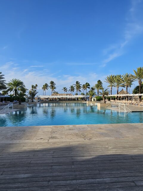 Piscina do Mangrove Beach Resort em Curaçao ladeada de coqueiros