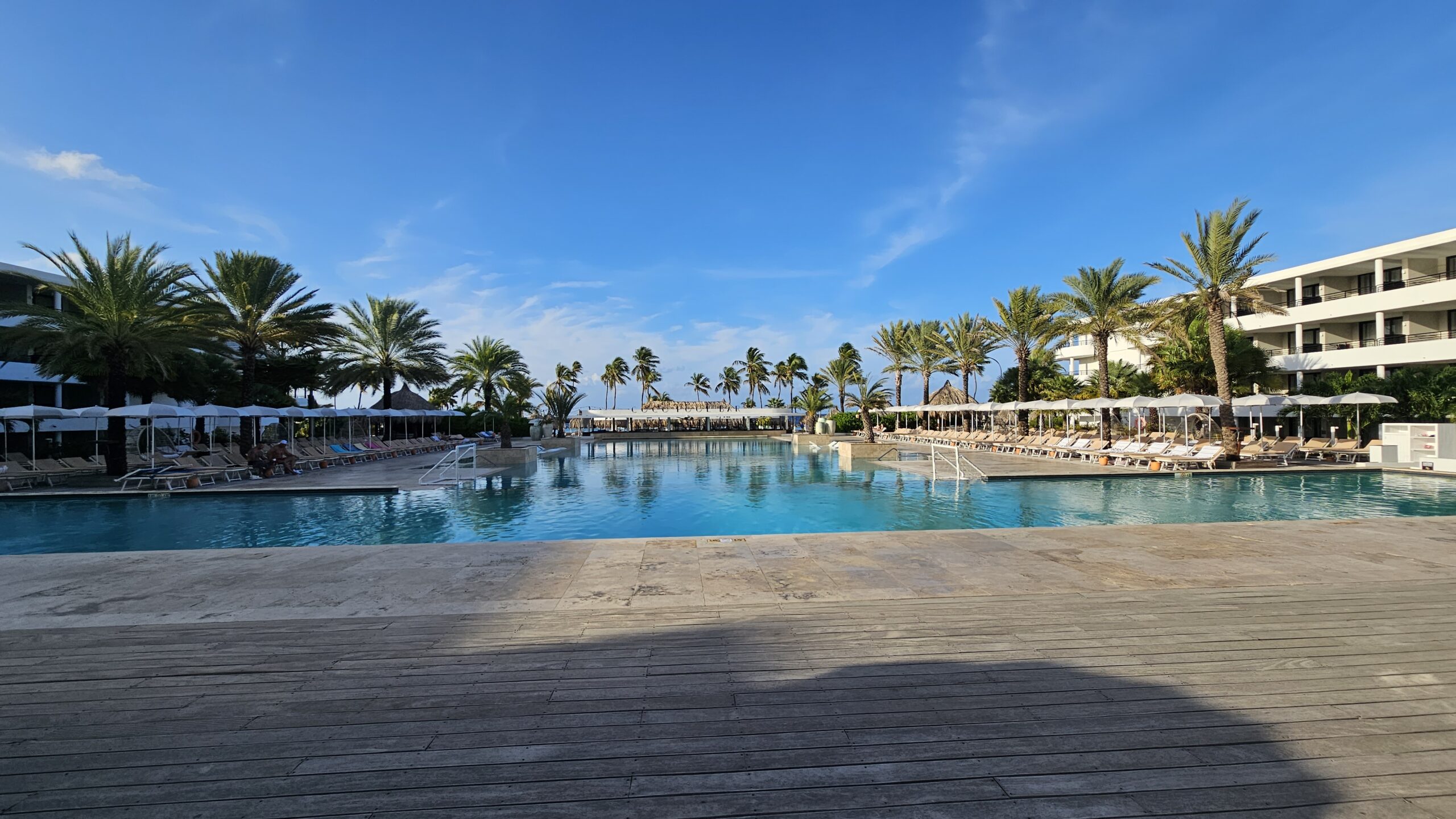 Piscina do Mangrove Beach Resort em Curaçao ladeada de coqueiros