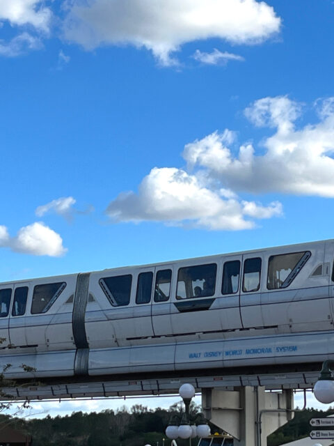Monotrilho do Walt Disney World System em movimento sobre a via elevada