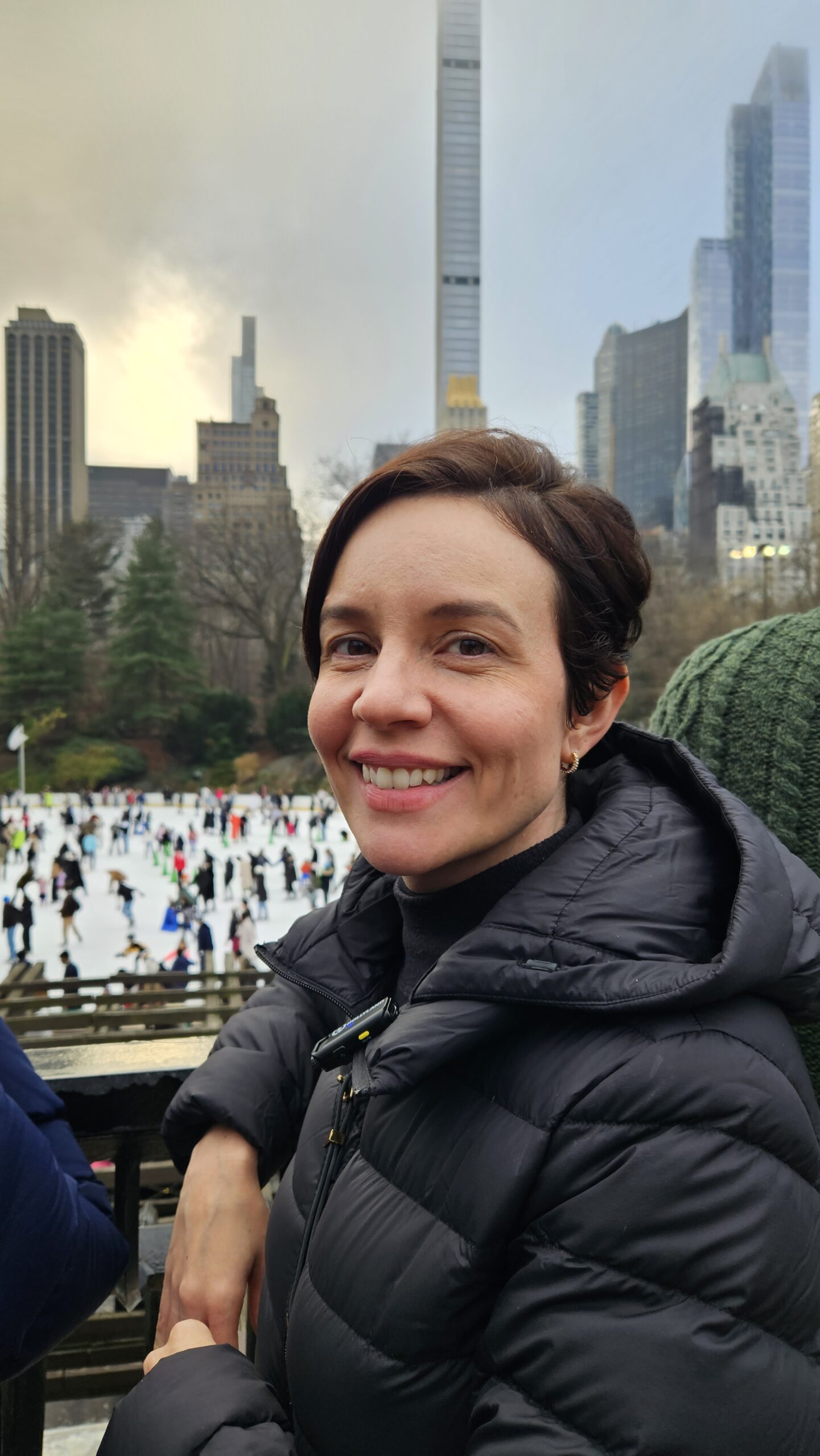 Vista do Central Park no inverno com pista de patinação lotada e prédios de Manhattan ao fundo