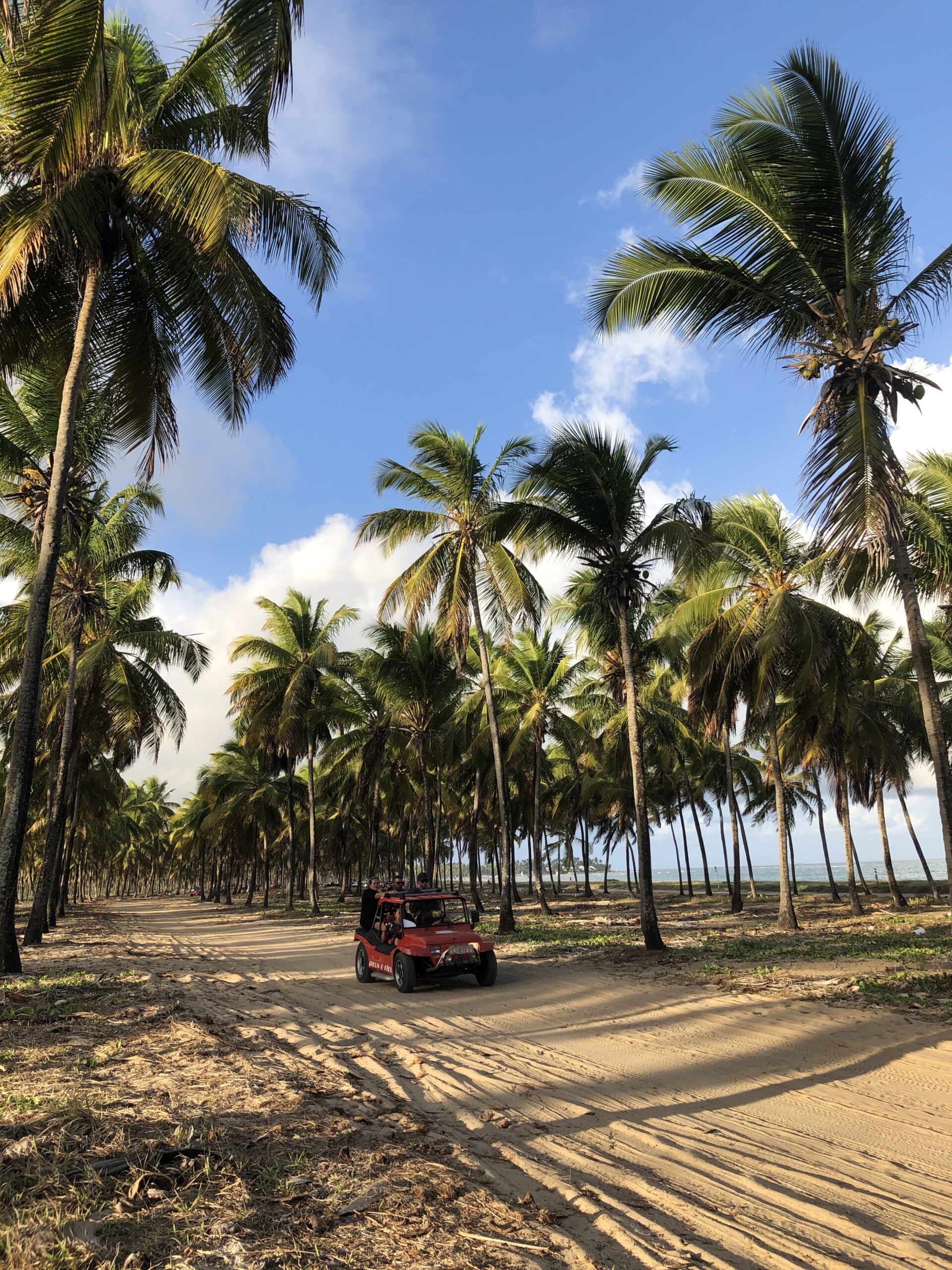 Buggy vermelho passando por uma estrada de terra em meio a um coqueiral em Porto de Galinhas