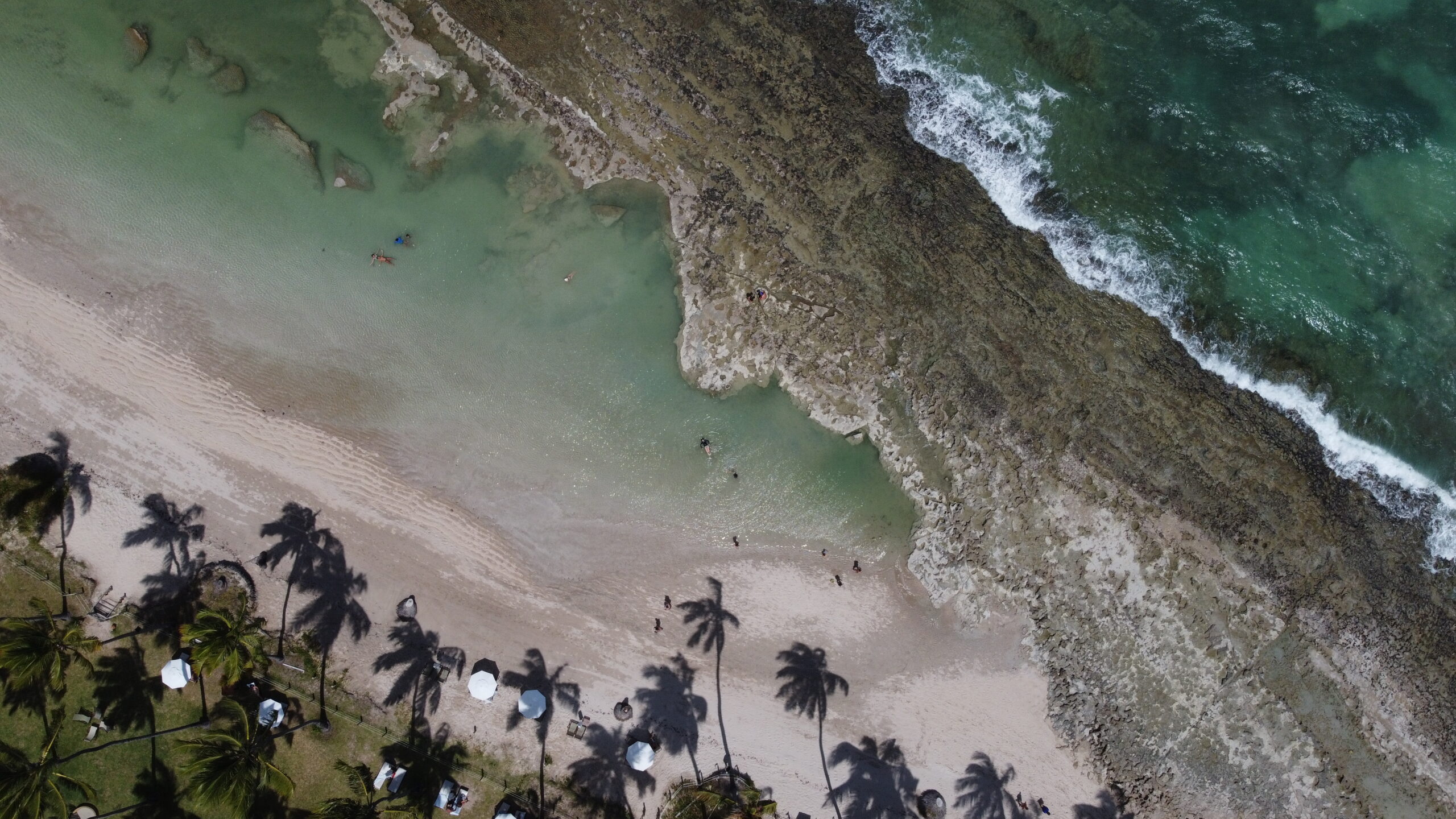 Vista aérea de drone das piscinas naturais e recifes da Praia dos Carneiros na maré baixa