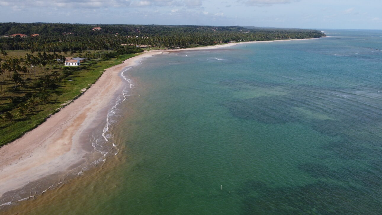 Vista aerea de drone da Praia do Marceneiro mostrando a faixa de areia branca, o coqueiral denso na borda e o mar em tons de verde e azul