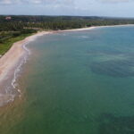 Vista aerea de drone da Praia do Marceneiro mostrando a faixa de areia branca, o coqueiral denso na borda e o mar em tons de verde e azul