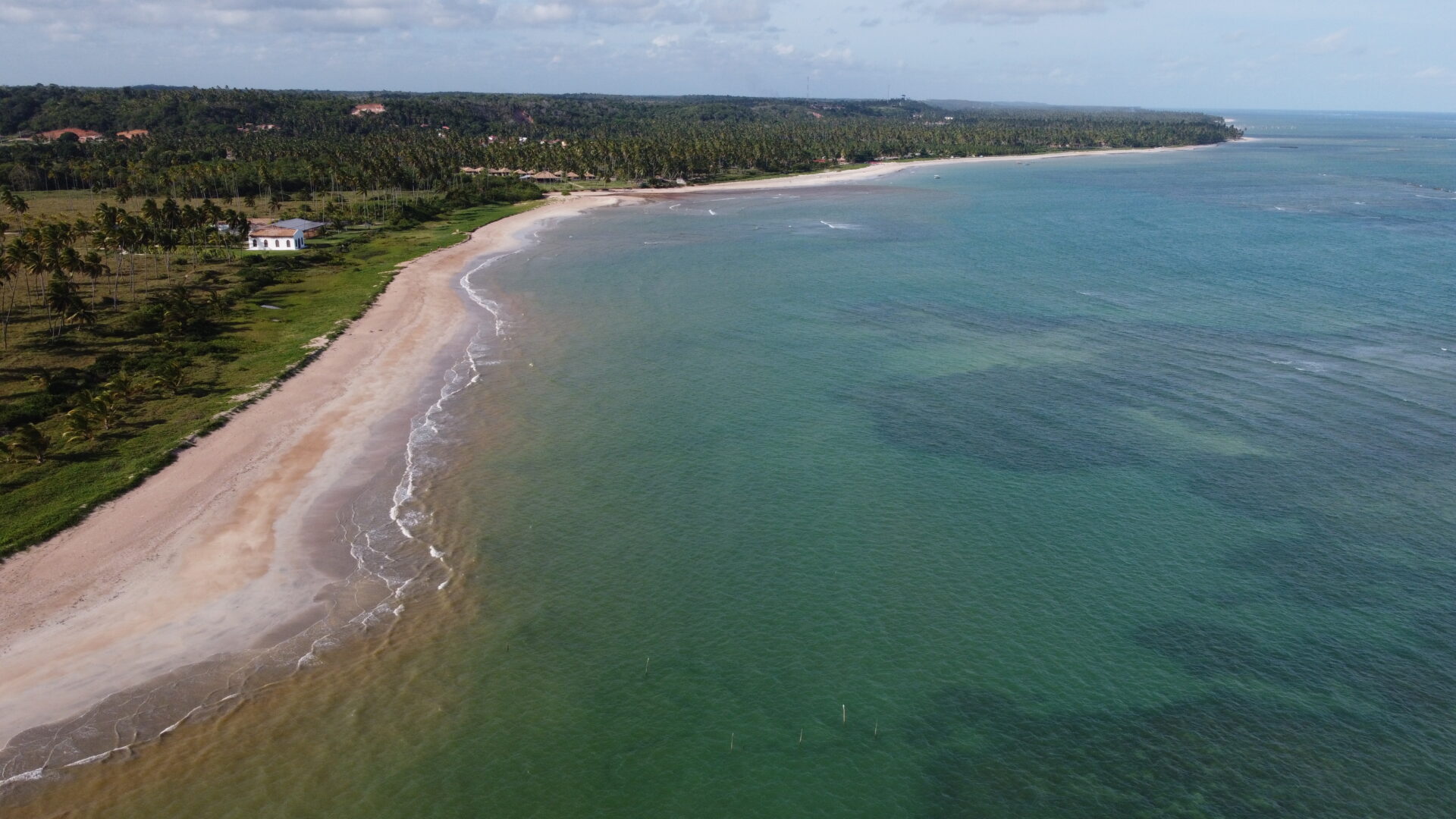 Vista aerea de drone da Praia do Marceneiro mostrando a faixa de areia branca, o coqueiral denso na borda e o mar em tons de verde e azul