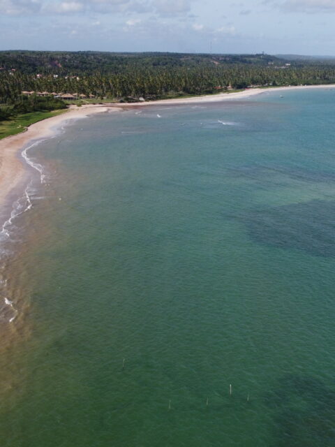 Vista aerea de drone da Praia do Marceneiro mostrando a faixa de areia branca, o coqueiral denso na borda e o mar em tons de verde e azul