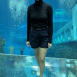 Carol no túnel de vidro do aquário do SeaWorld Yas Island Abu Dhabi